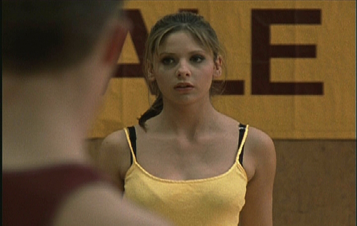 Buffy the Vampire Slayer Buffy the Vampire Slayer