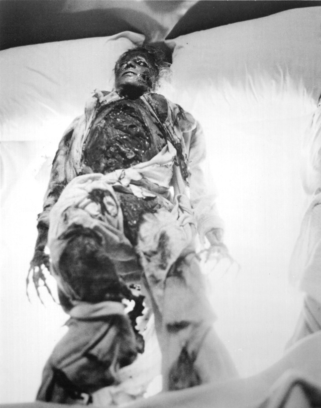 A Nightmare on Elm Street A Nightmare on Elm Street