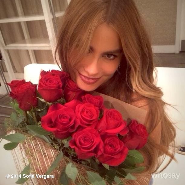 Sofía Vergara Sofía Vergara