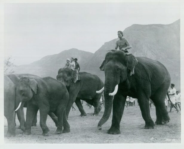 Tarzan Goes to India (1962) Tarzan Goes to India (1962)