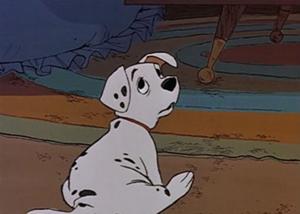 Rolly
