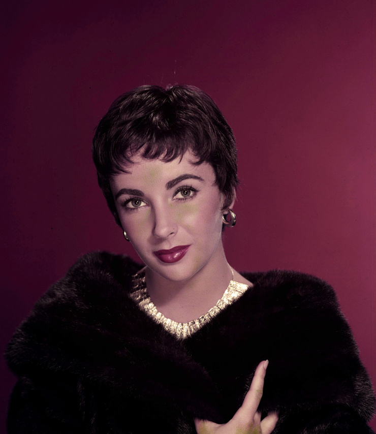 Elizabeth Taylor Elizabeth Taylor