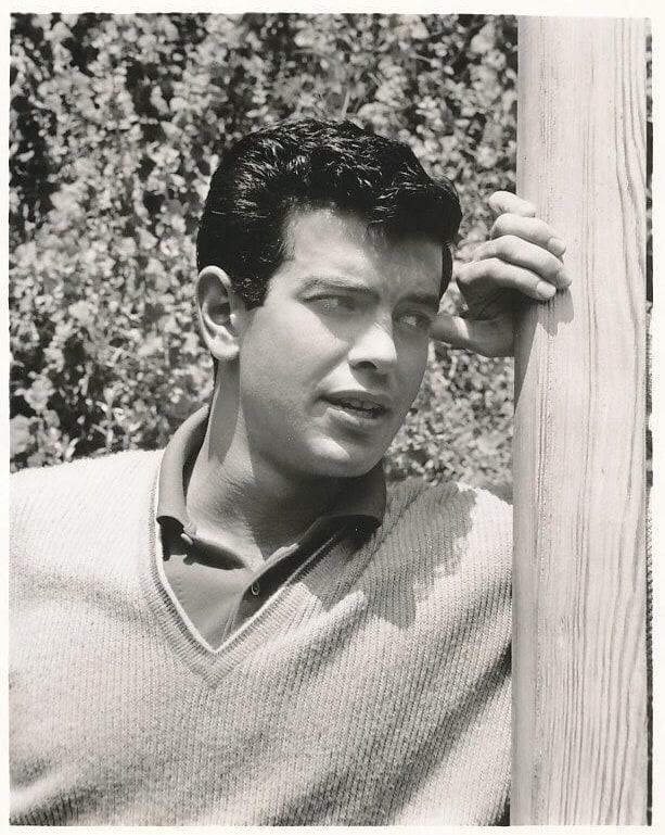 Mark Damon