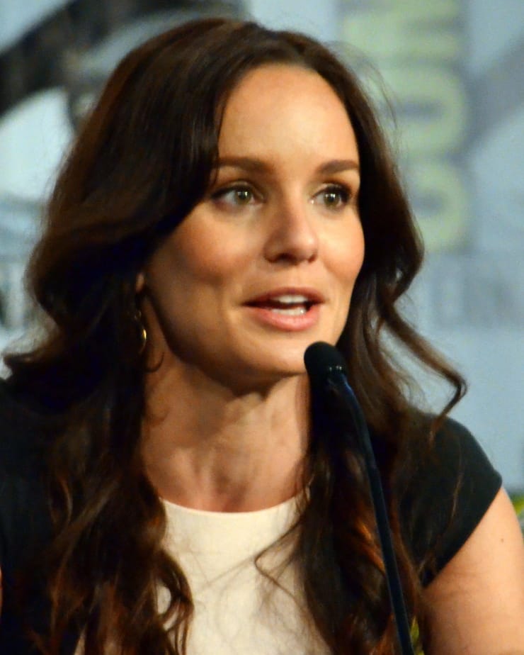 Picture of Sarah Wayne Callies