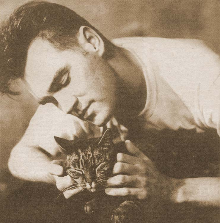 Morrissey Morrissey