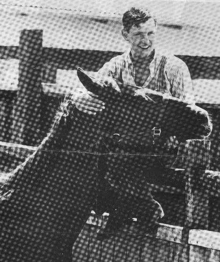 Phar Lap Phar Lap
