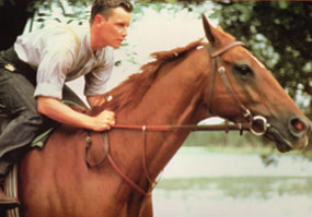 Phar Lap