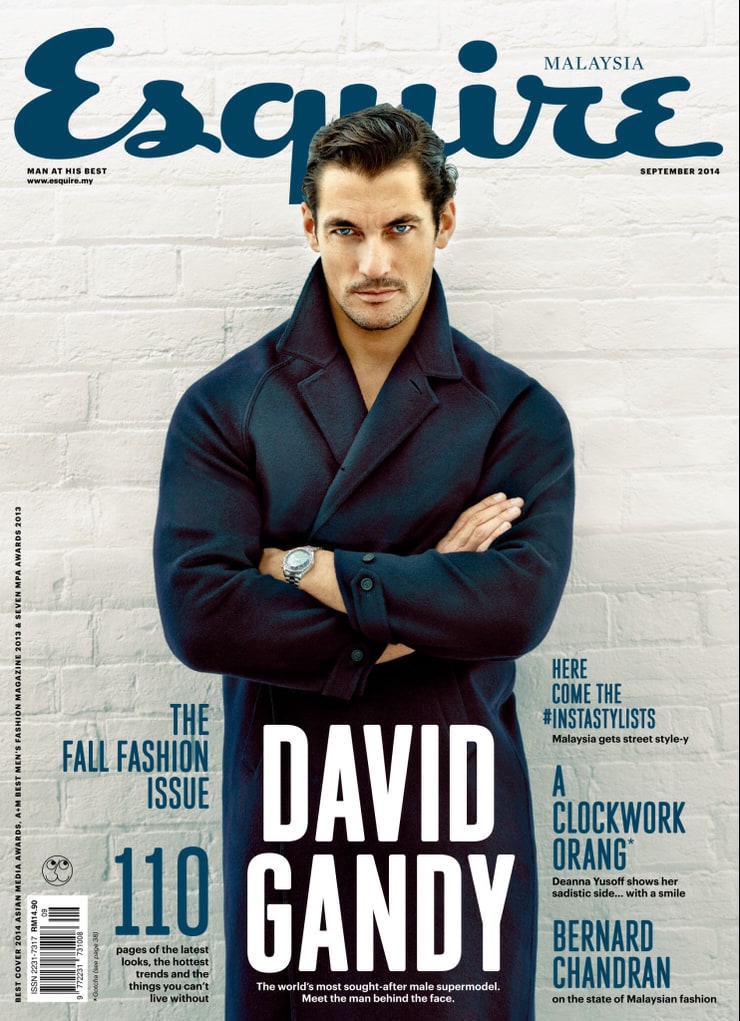 David Gandy