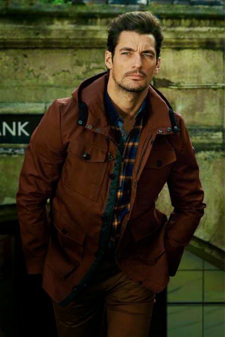 David Gandy