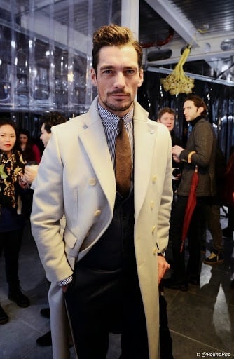 David Gandy