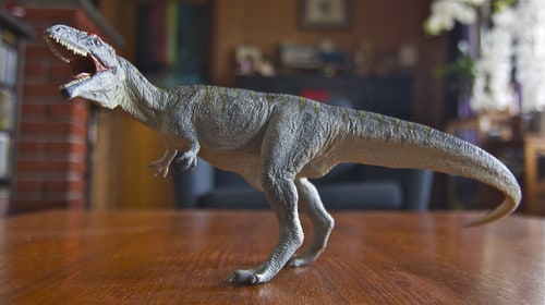 Safari Ltd Carnegie Scale Model Giganotosaurus