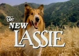 The New Lassie