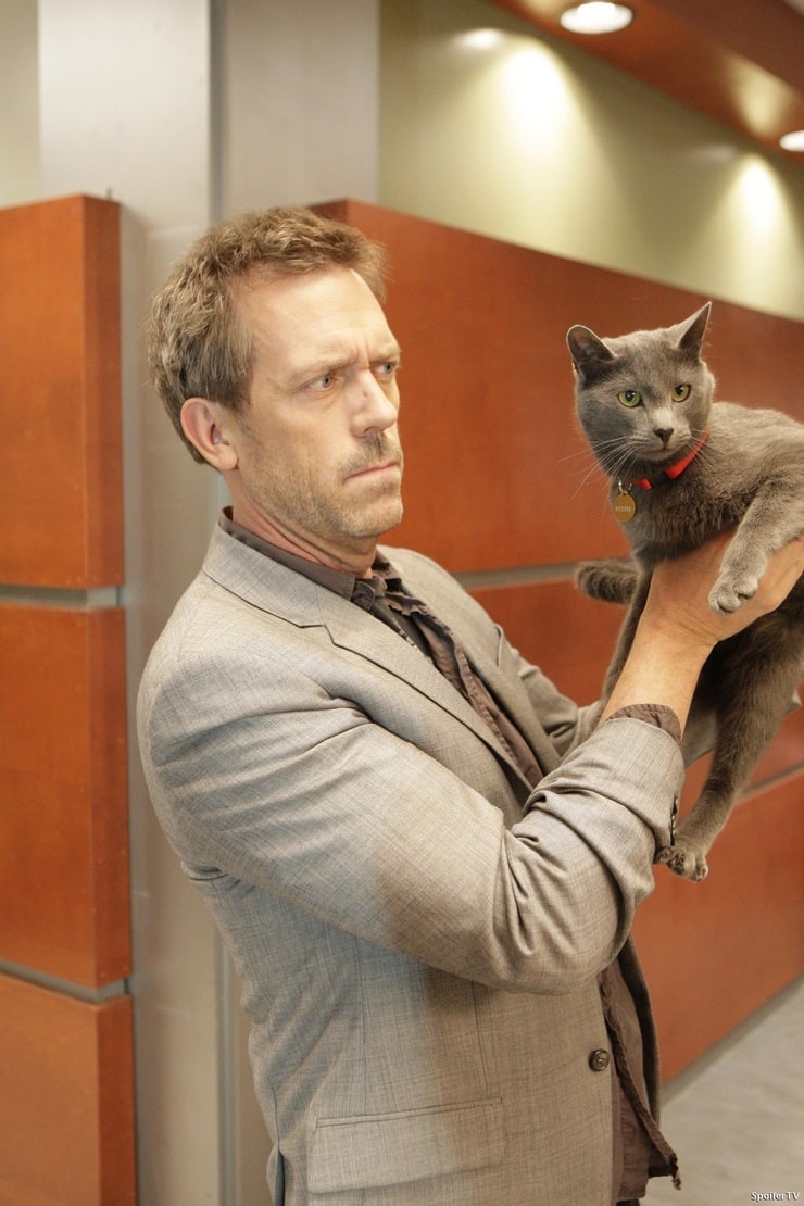 Hugh Laurie