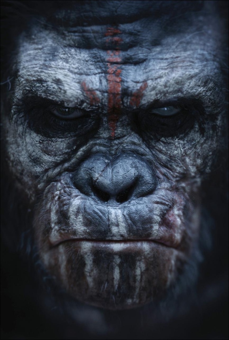 Koba Koba