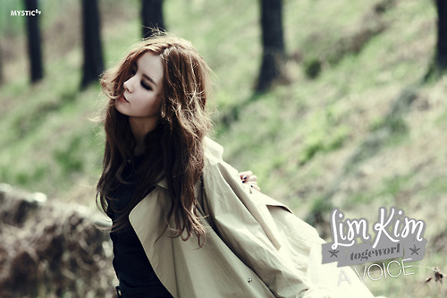 Lim Kim Lim Kim