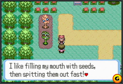 Picture of Pokemon: Ruby Version