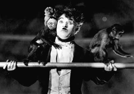 The Circus The Circus