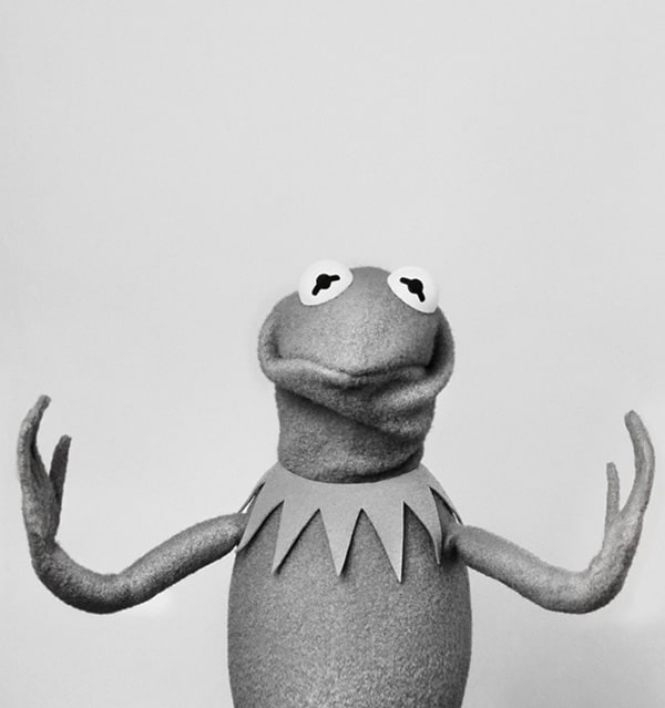 Picture of Kermit the Frog