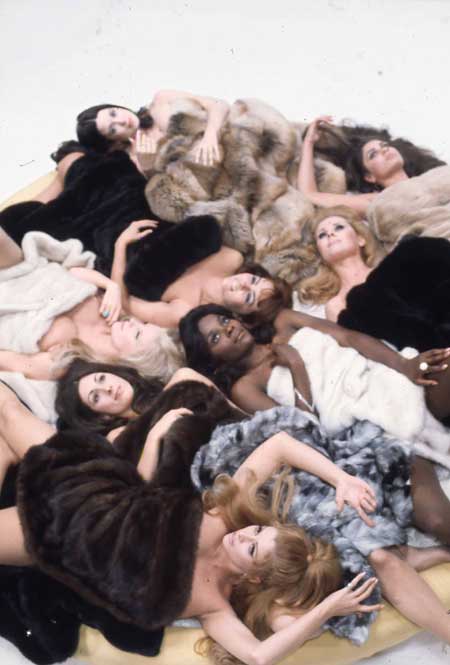 Beyond the Valley of the Dolls Beyond the Valley of the Dolls