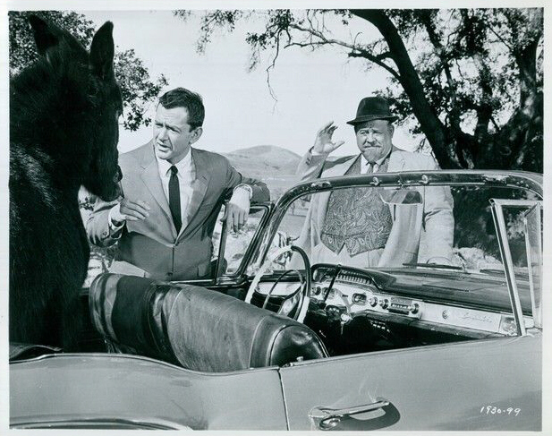 The Brass Bottle (1964) The Brass Bottle (1964)