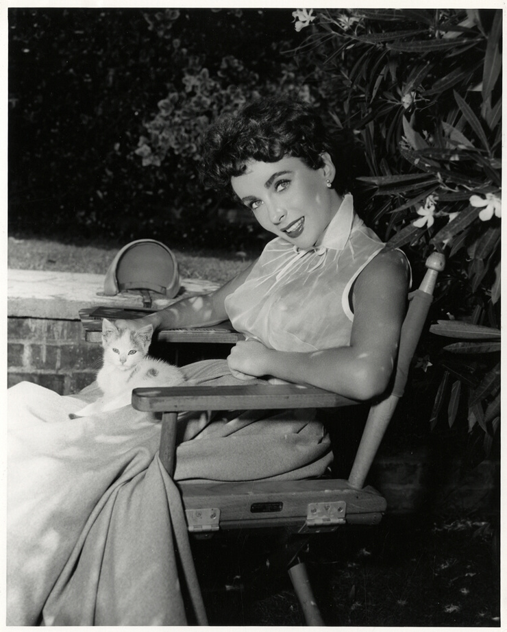 Elizabeth Taylor Elizabeth Taylor