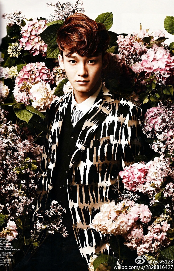 Chen (Exo) Chen (Exo)