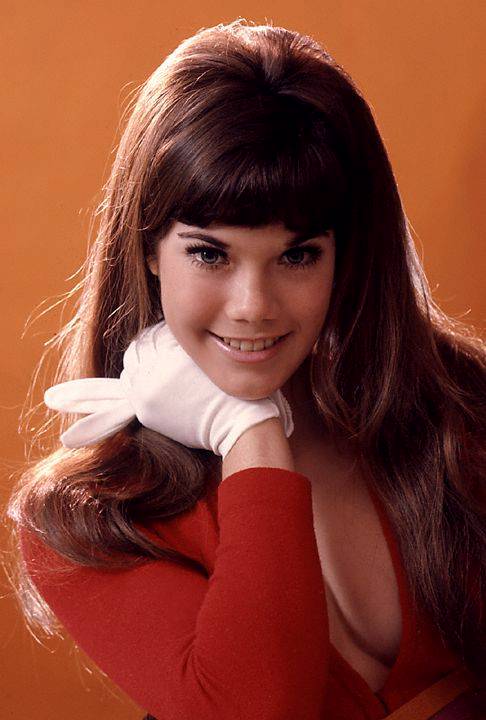 Barbi Benton Barbi Benton