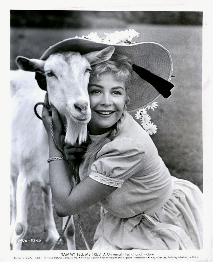 Tammy Tell Me True (1961) Tammy Tell Me True (1961)