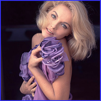 Virna Lisi Virna Lisi