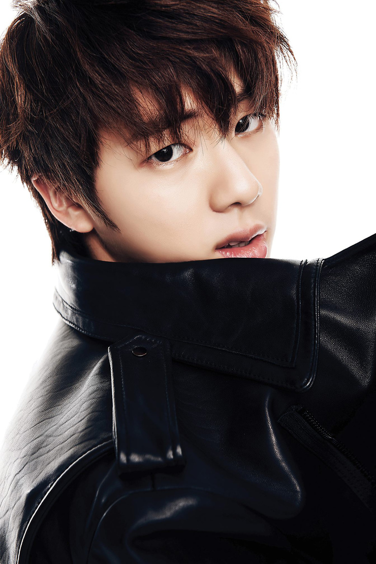 Jin (Kim Seok Jin)