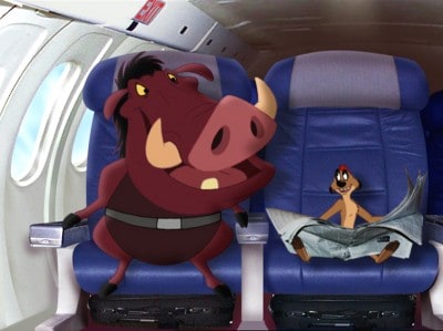 Timon & Pumbaa's Wild Adventures
