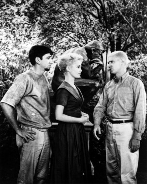 The Many Loves of Dobie Gillis