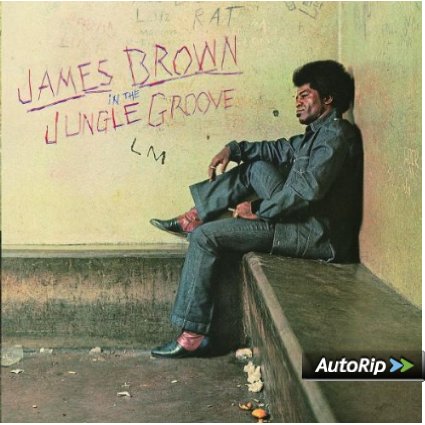 In the Jungle Groove