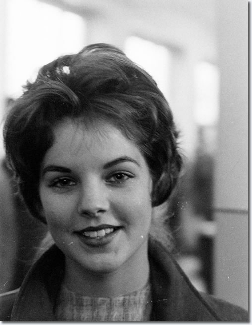 Priscilla Presley Priscilla Presley