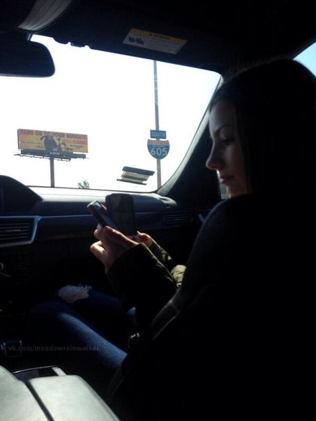 Meadow Walker