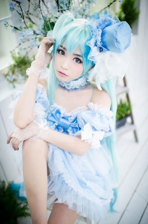 Picture of Tomia (토미아)
