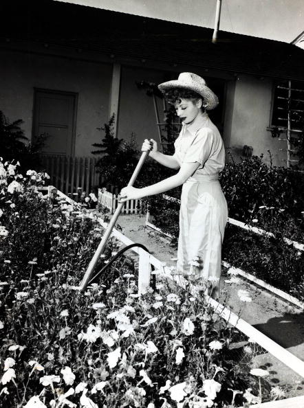 Lucille Ball Lucille Ball