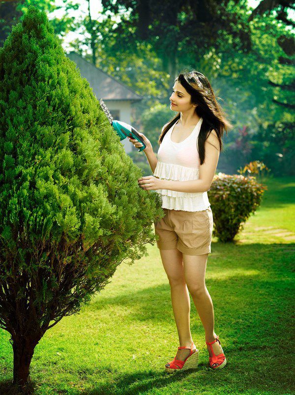 Prachi Desai Prachi Desai