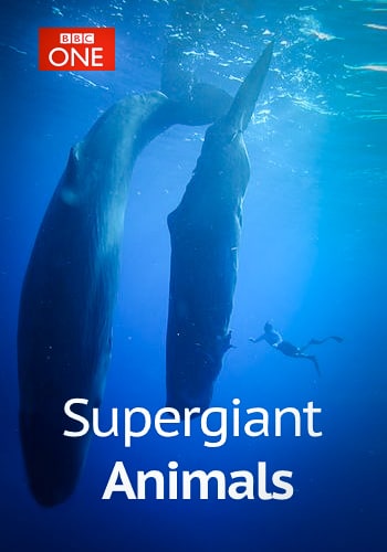 Supergiant Animals