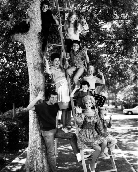 The Brady Bunch The Brady Bunch