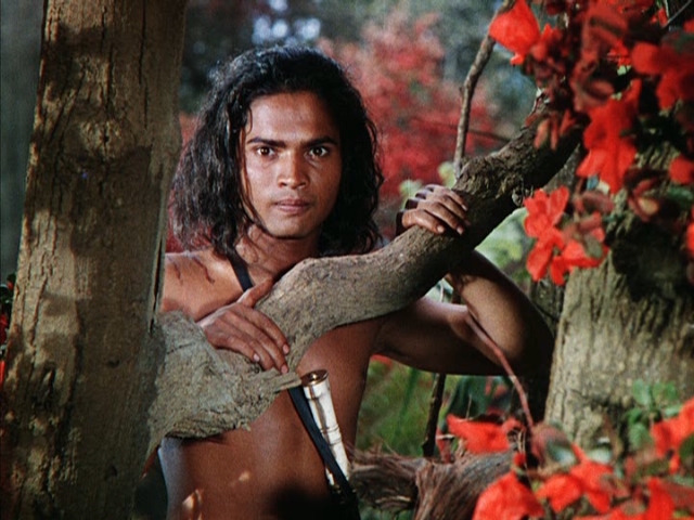 The Jungle Book The Jungle Book
