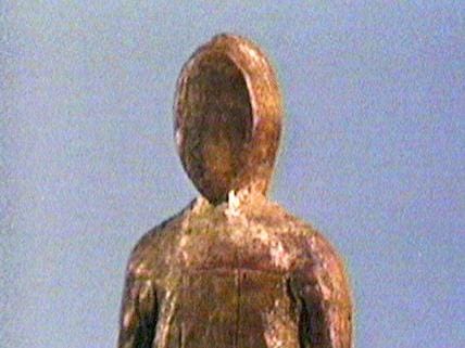 Canada Vignettes: The Visitor