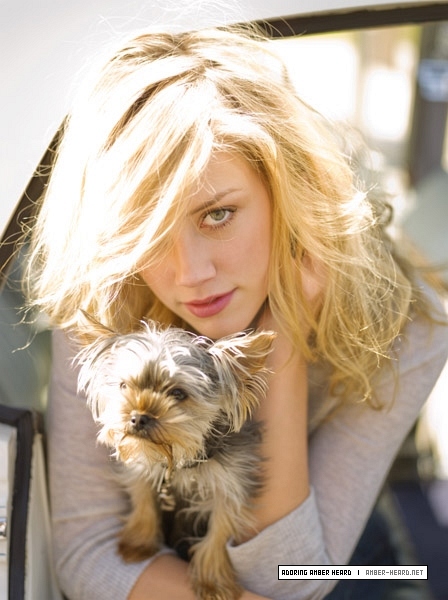 Amber Heard