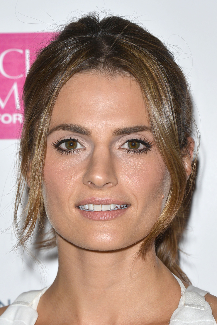 Stana Katic