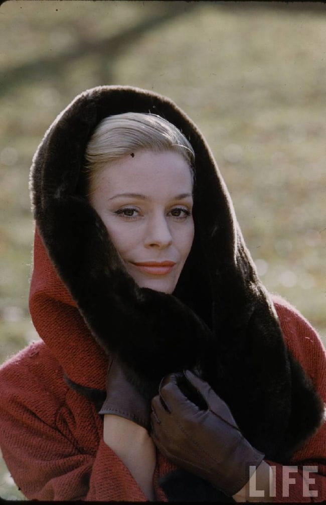 Picture of Ingrid Thulin