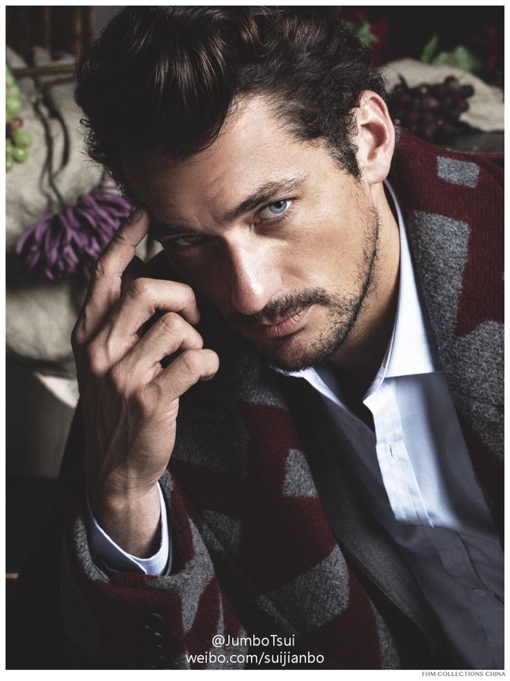 David Gandy