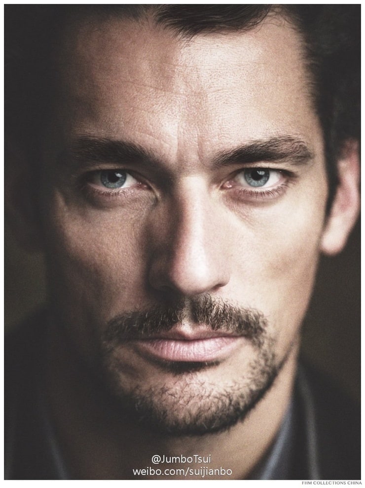 David Gandy