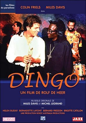 Dingo