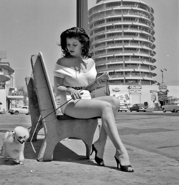 Joan Bradshaw Joan Bradshaw