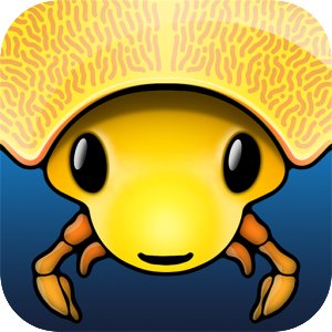 Morphoplis
